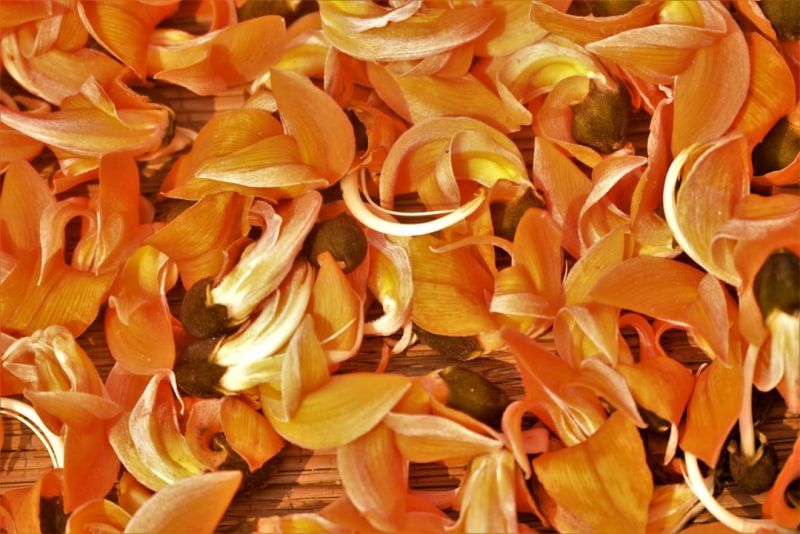 Soubor:109 Šafránová polévka s mandlemi 3.jpg