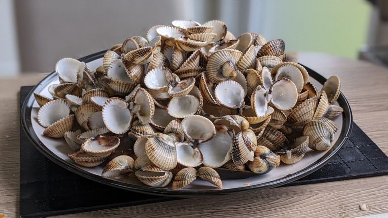 Soubor:111 Dršťková z hlívy ústřičné 5.jpg