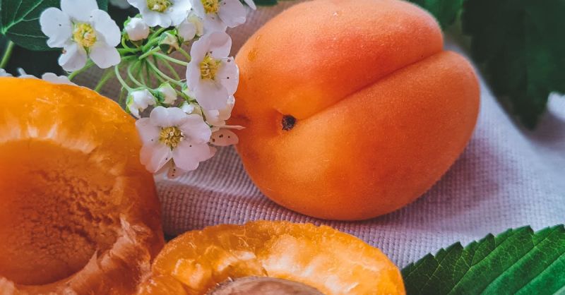 Soubor:189 Letní meruňková polévka 3.jpg