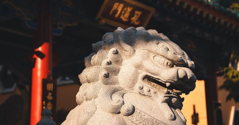 Soubor:205 Rýžové víno shao hsing 2.jpg