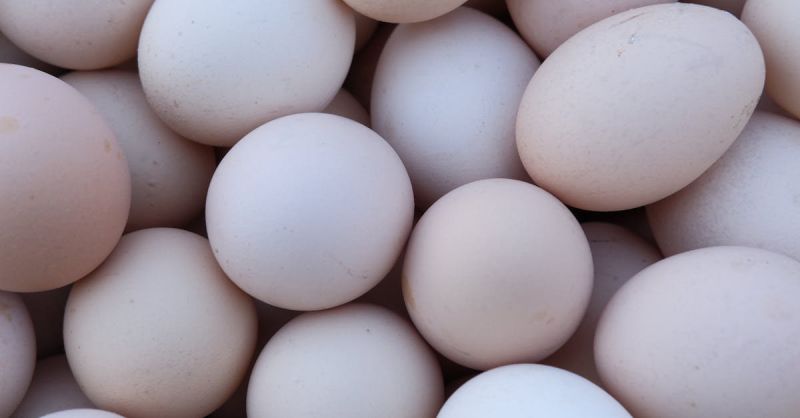 Soubor:222 Baskická vejce.jpg