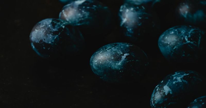 Soubor:225 Černá vejce 3.jpg