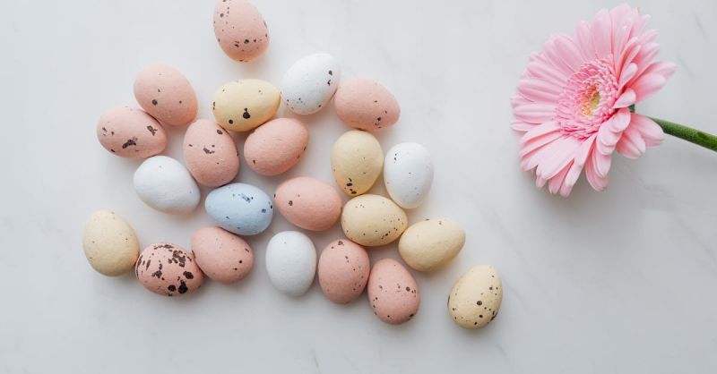 Soubor:230 Mramorovaná vejce 2.jpg