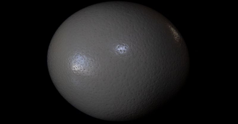 Soubor:236 Pštrosí vejce 3.jpg