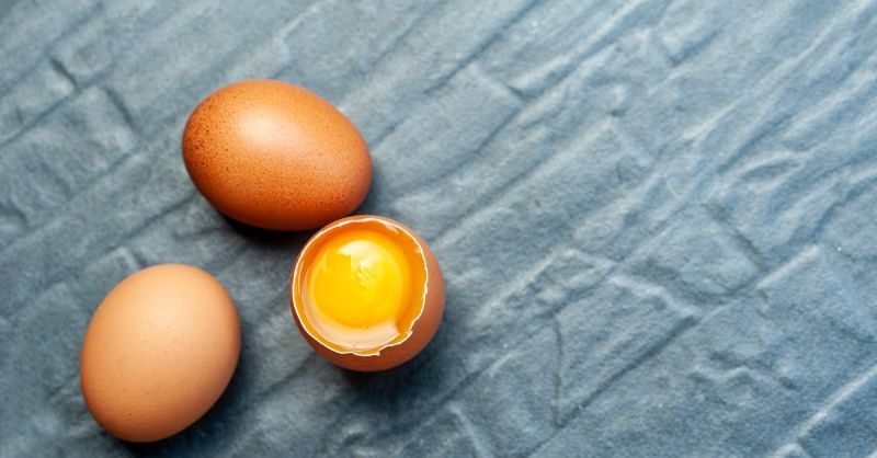 Soubor:248 Vaječná tlačenka I.jpg