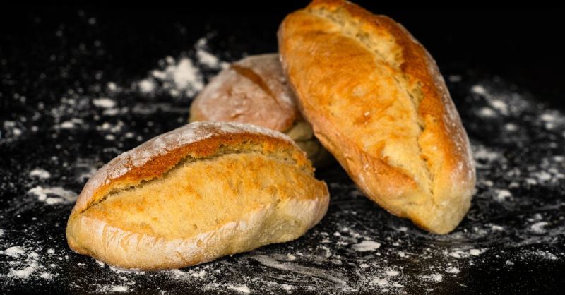 Soubor:252 Vaječné řízky 4.jpg