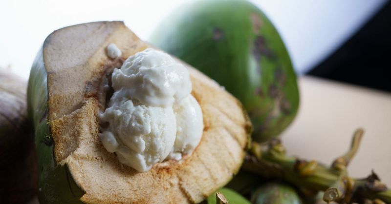 Soubor:274 Bienmesabe 3.jpg