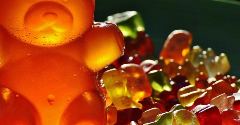 Soubor:311 Želatinový zákusek 2.jpg