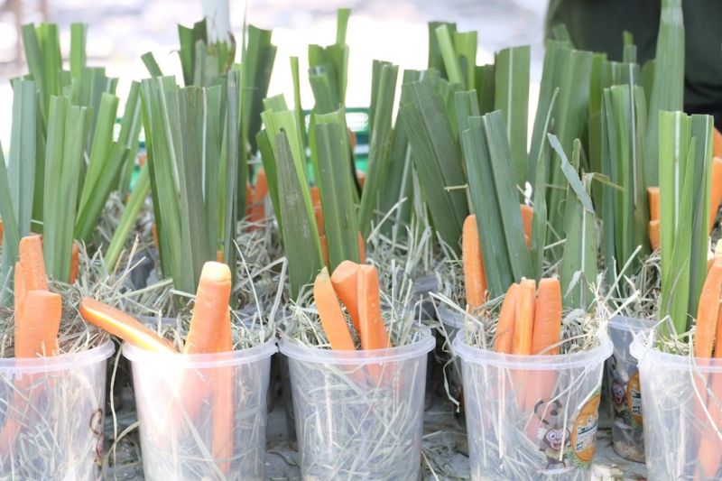 Soubor:351 Pomazánka z celeru 5.jpg