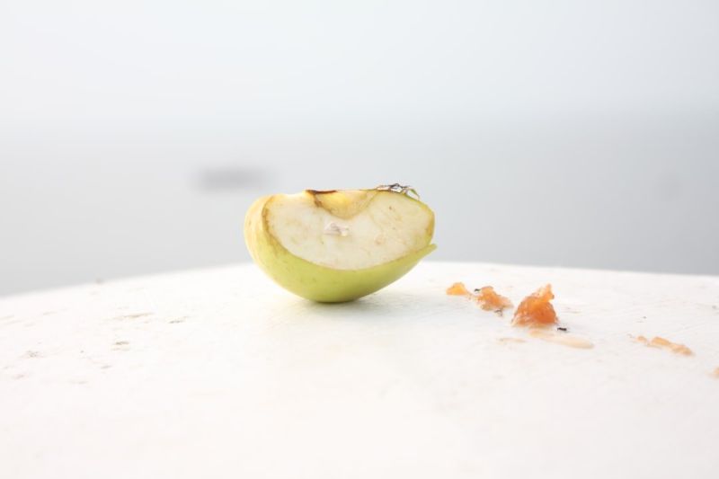 Soubor:362 Pomazánka z rybího masa 3.jpg