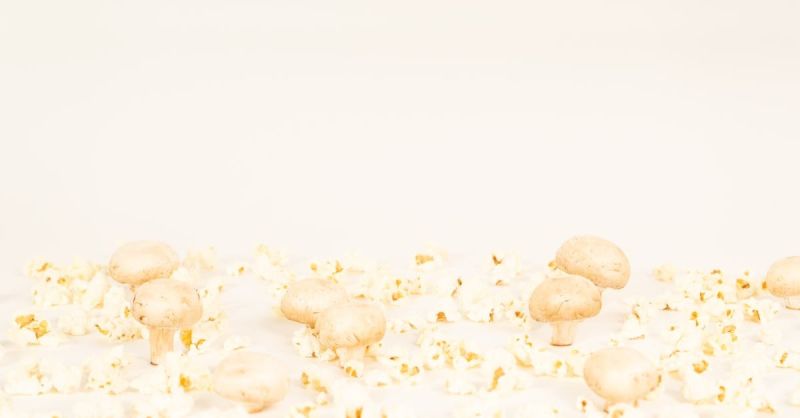 Soubor:366 Pikantní pomazánka s houbami.jpg